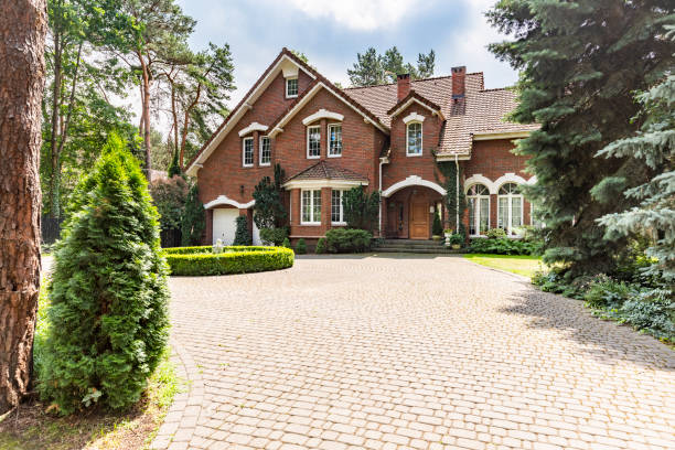 Best Professional Driveway Pavers  in Royal Pines, NC