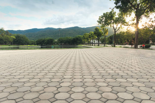 Best Interlocking Driveway Pavers  in Royal Pines, NC